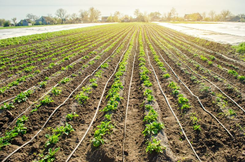 Plant Irrigation Installation in Ventura County, CA