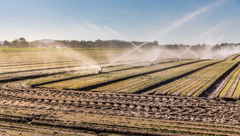 Commercial Irrigation Service in Honolulu, HI