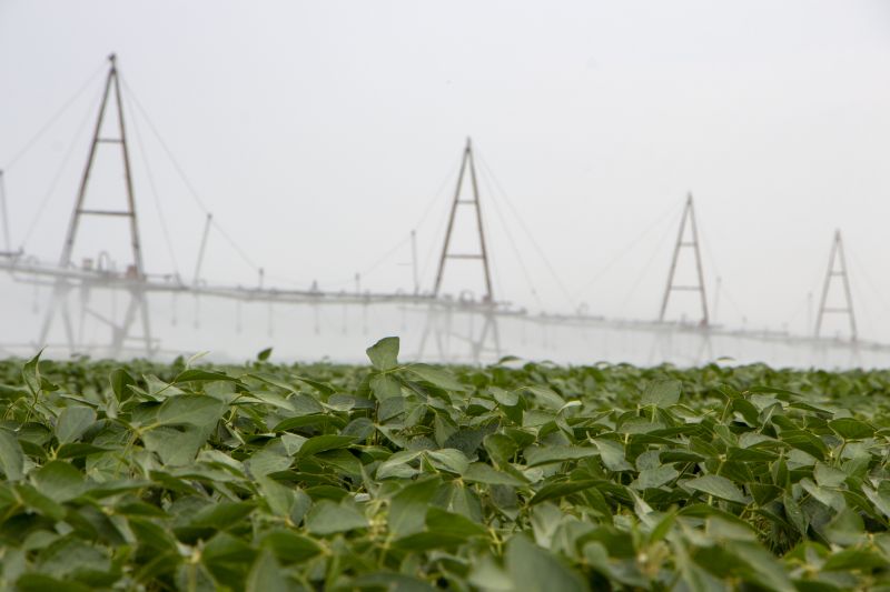 Commercial Irrigation Service in Aiken, SC