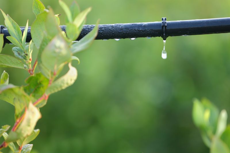 Drip Irrigation Installation