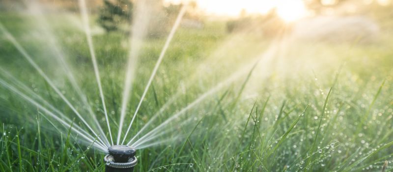 Grass Sprinkler Installation in Aiken, SC
