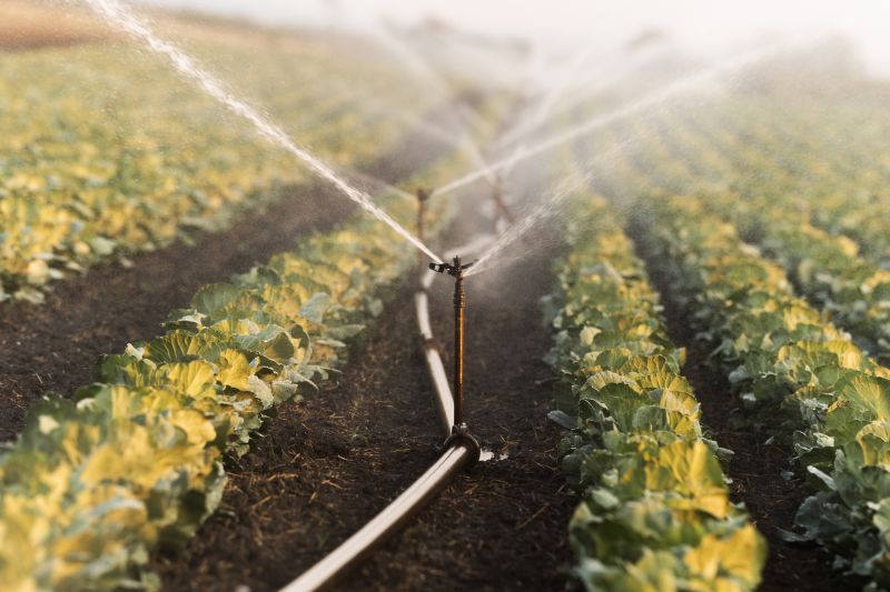 Irrigation System Replacement in Aiken, SC