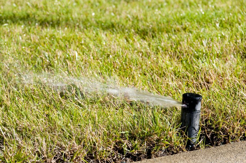 Lawn Sprinkler Installation in Honolulu, HI