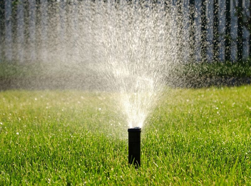 Lawn Sprinkler Replacement in Aiken, SC