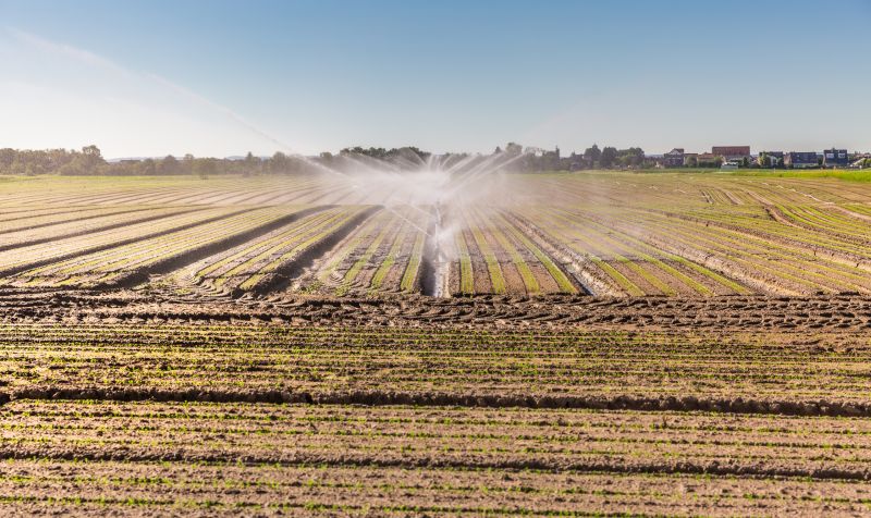 Mist Irrigation Installation in Ventura County, CA
