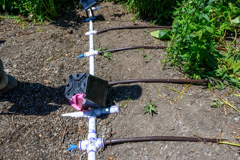 Yard Irrigation Installation in Ventura County, CA