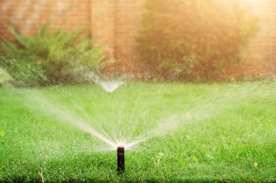 Yard Sprinkler Installation in Honolulu, HI